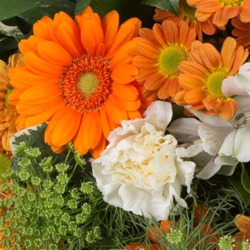 Florist's Choice Posy Arrangement (Standard)